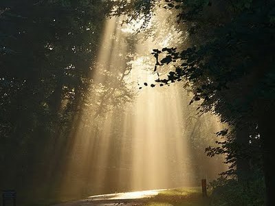 THE PAUSE THAT WILL (BY GRACE) REFRESH